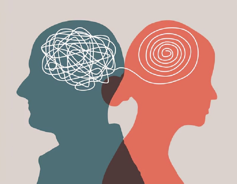 द्विध्रुवीय मन समजून घेण्याची गरज: मीना राजपूत