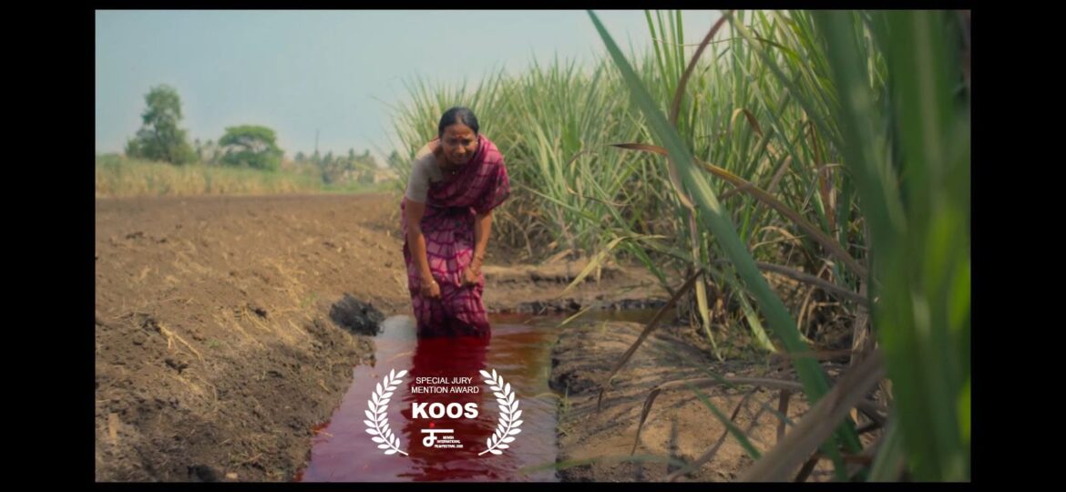 चित्रभारती महोत्सवात ‘कूस’ सर्वोत्कृष्ट; अमेरिका, फ्रान्समध्येही मराठी लघुपटाचा झेंडा